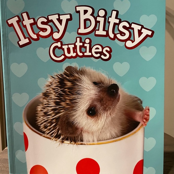Itsy Bitsy Book